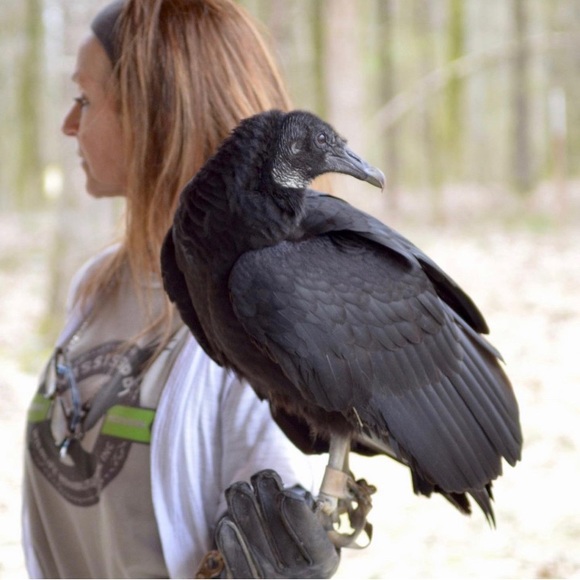 Meet your Posher, Suzanne - Picture 3 of 6